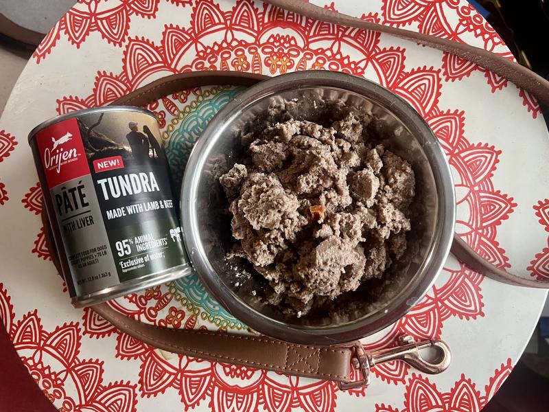 Can of Orijen brand Tundra pate with liver canned dog food.  Beside it is a bowl of the wet food.  A leather leash is nearby.