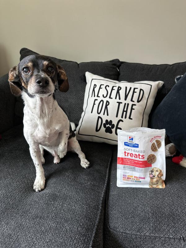 Hill's prescription diet discount soft baked dog treats