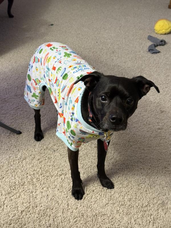 Pixar Toy Story "To Infinity & Beyond" Dog & Cat Jersey PJs
