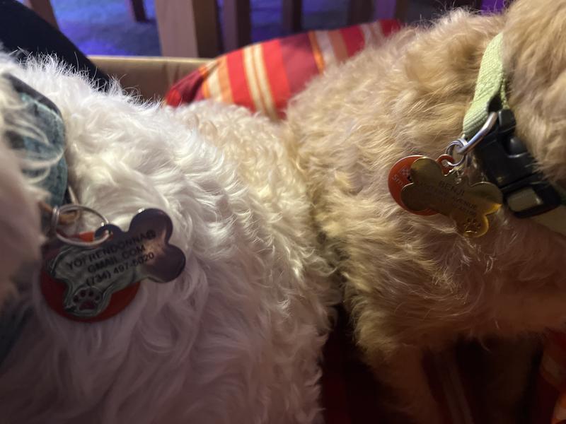 They will never be lost again…