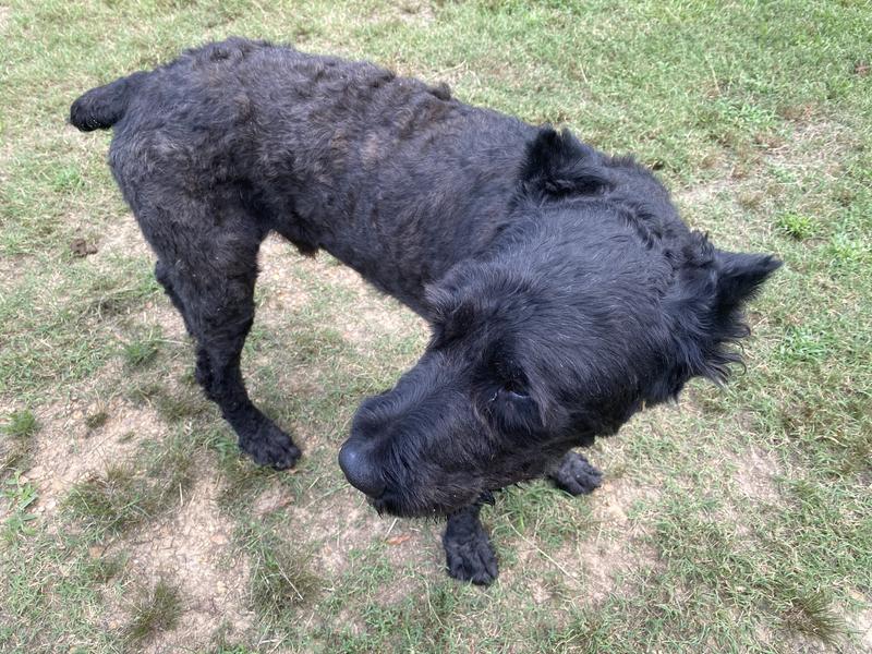 Day 21! Hips are rounded!