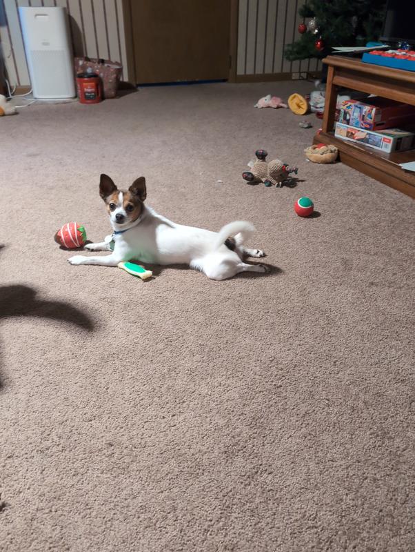 Made a toy tornado, but it's the strawberrys fault.