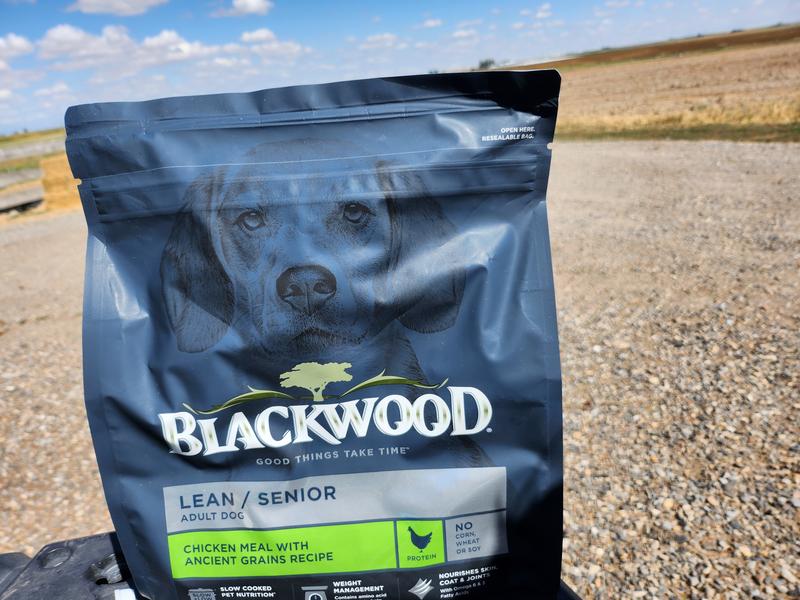 Blackwood Lean Senior Chicken Meal with Ancient Grains Recipe Dry Dog Food