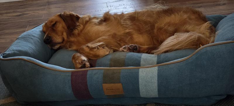 Piper Joy thinks it's perfect for snuggling!