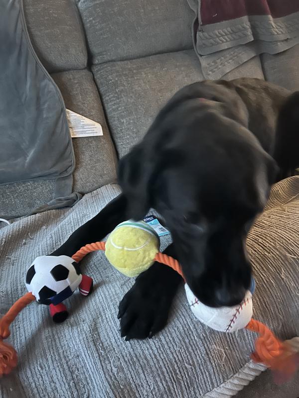 Just chillin' on the couch with my new fun toy!
