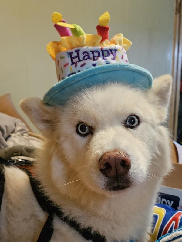 why do i have to wear this hat?