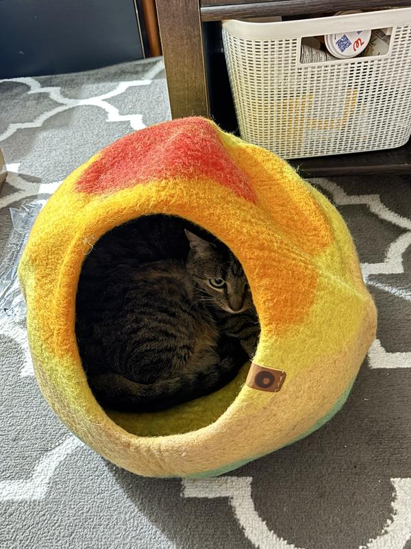 Happy camper!