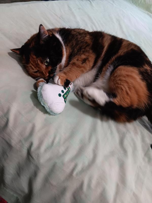 Kicking it away, again