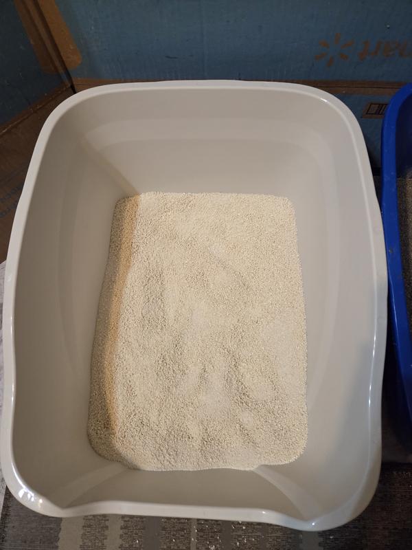 Nice light color of the litter.