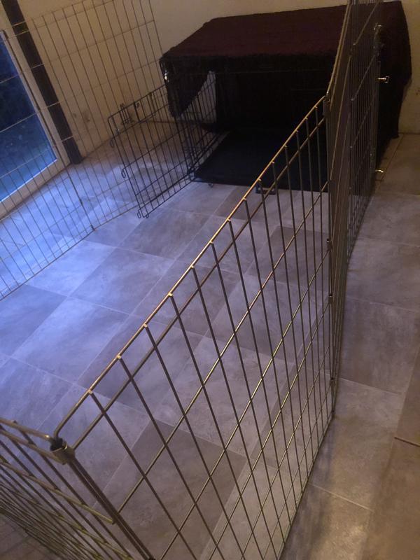 Great setup for an awesome price! Thank you Chewy😊