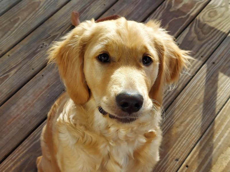 Going to be a great boy