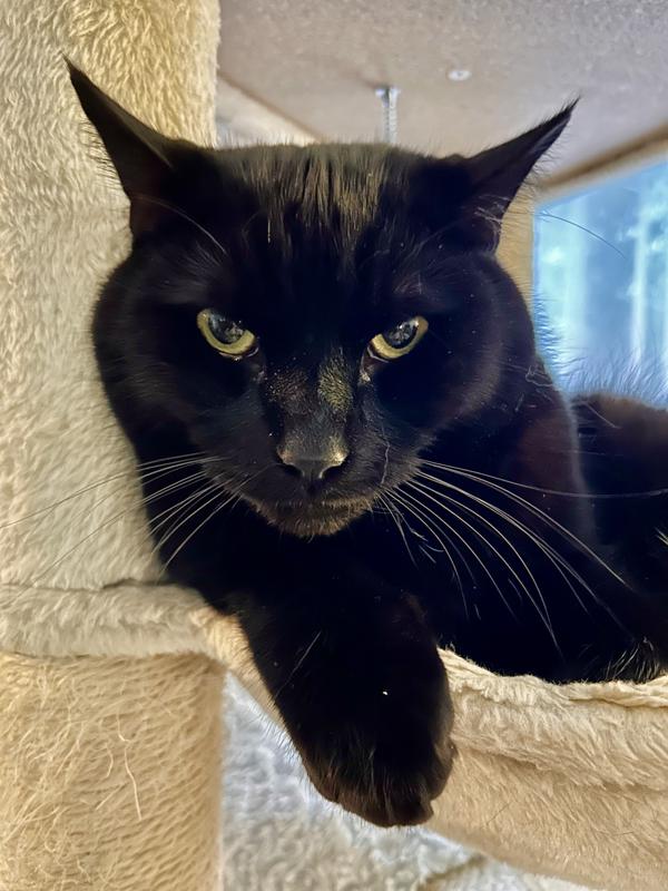 I’m not ready to be calm right now Mom.