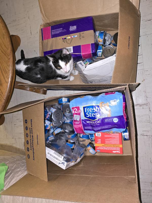 Busted up cat food cases