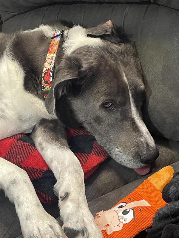 lookin good-even during a nap