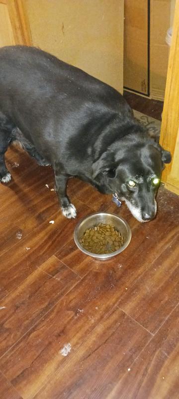 Camille says,"Don't botherr me with a picture.  I'm eating!"