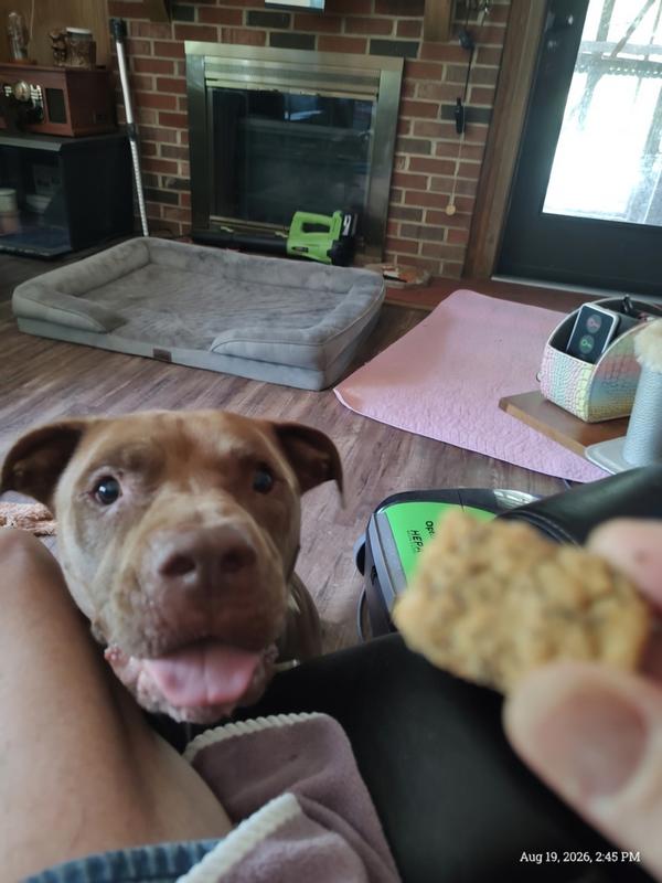 Hurry up, Mom!