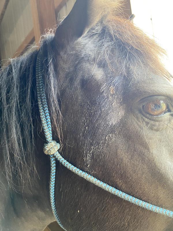 Ointment after being in the heat for the day.  It ran down her face.