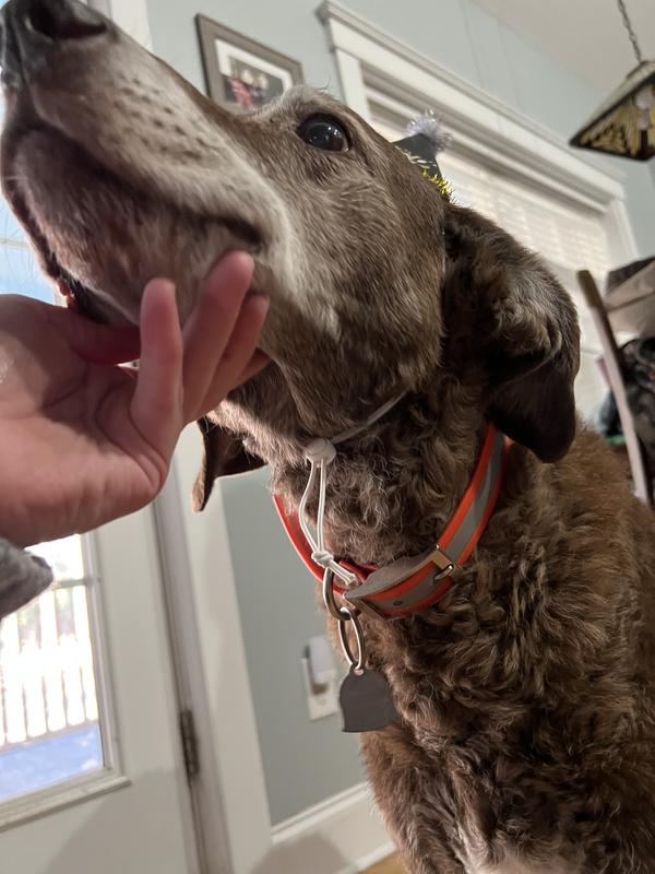 A view of the adjustable chin strap