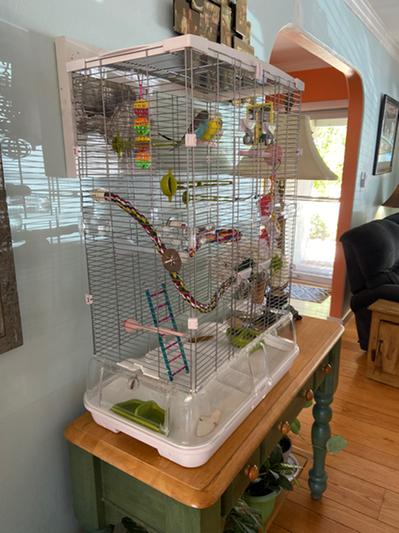 Vision 2 hotsell bird cage medium