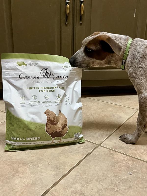 Chip’s Thoughts on Canine Caviar