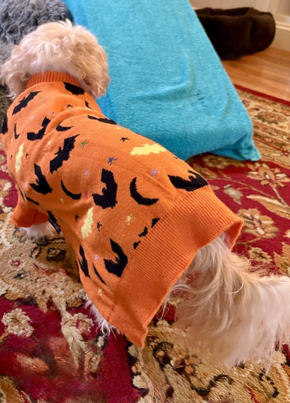 Ready for Halloween