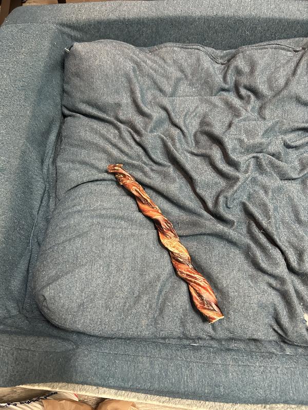 Good size in large dog bed