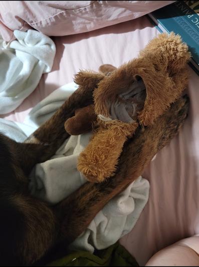 Ew. lol Poor Moosey.