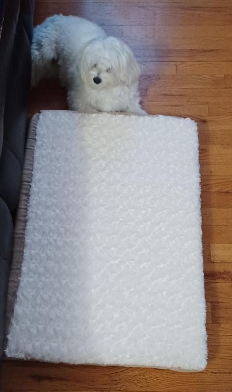 Hummm, should I lay on that mattress?