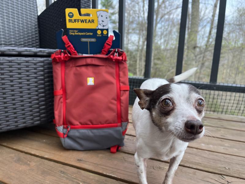 RUFFWEAR Hitch Hiker Backpack Dog Carrier, Red Clay, Small - Chewy.com