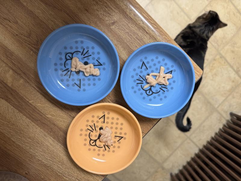 3 cats. 3 bowls ready for the test.