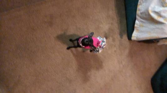 She feels better with some itch control.