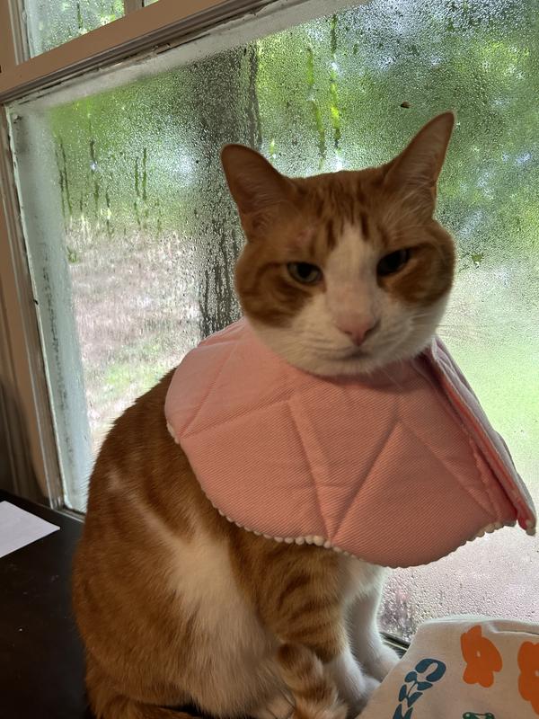 SUNGROW PostSurgery Soft Cone Dog & Cat Recovery Collar, Pink, Small