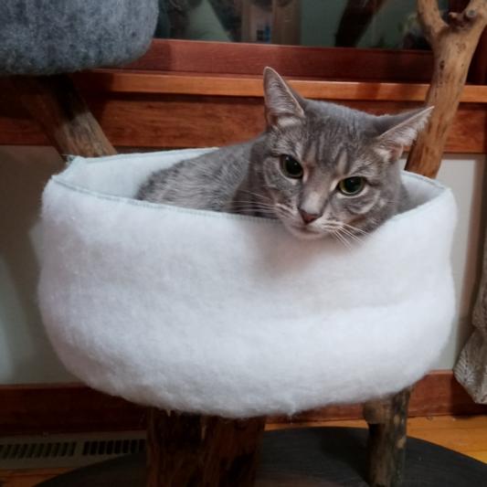 Kuddle kup outlet cat bed