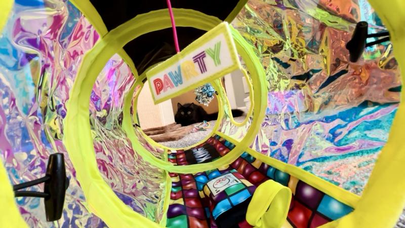 Rune before pouncing into the tunnel