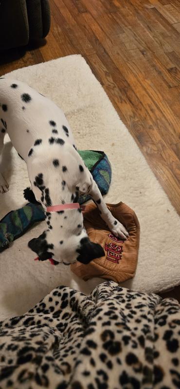 She loves the outer shell