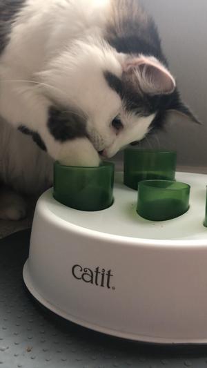 Catit Senses 2.0 Digger with 5 tubes for cats 