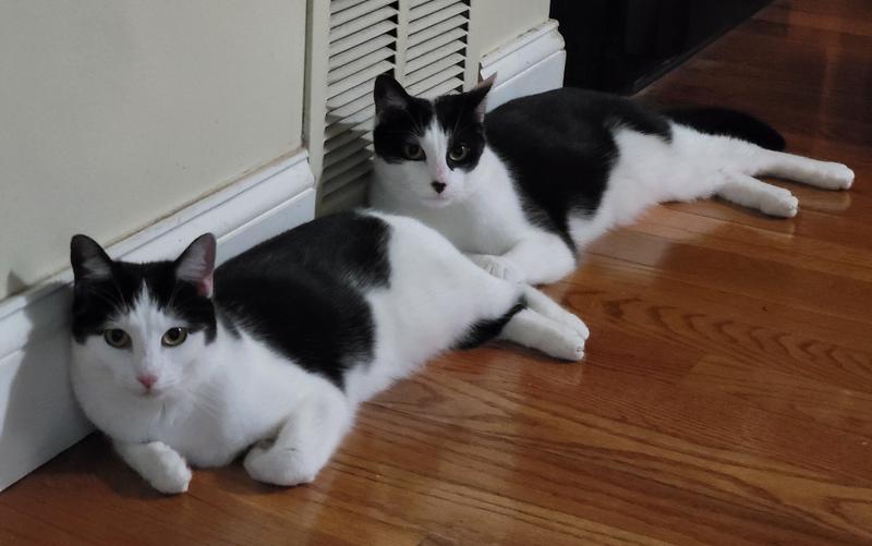 Boy that was good food!