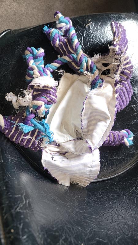 Even the inside ropes are pretty much