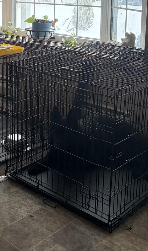 Karma testing out the new crate