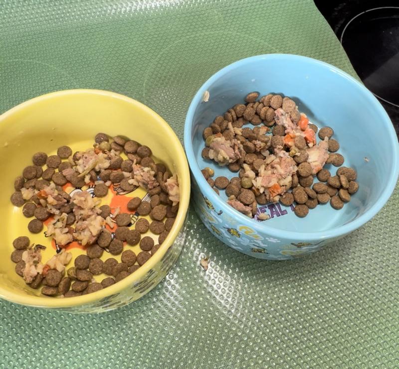 JINX Chicken Homestyle Wet Dog Food, 9oz pouch, case of 12