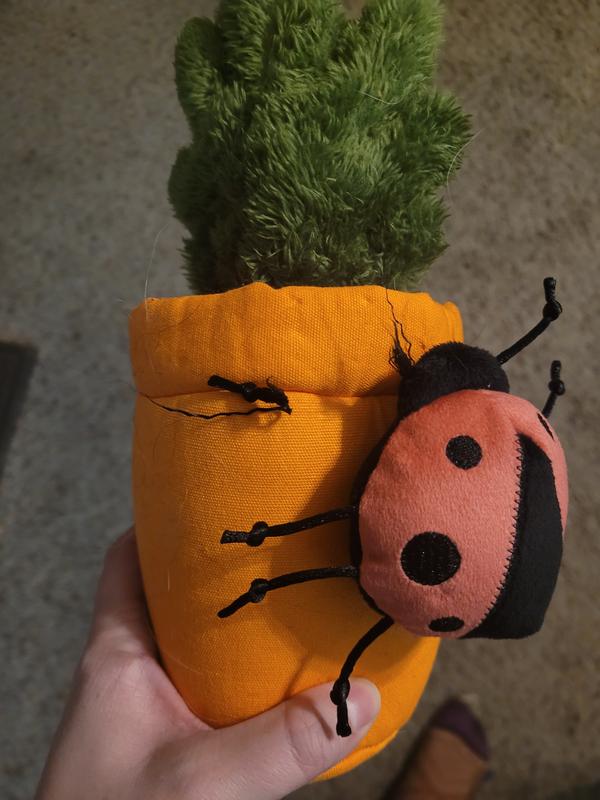 Chewed off lady bug leg. I cut off the legs after my dog tried to eat one of them and we haven't had a problem since.