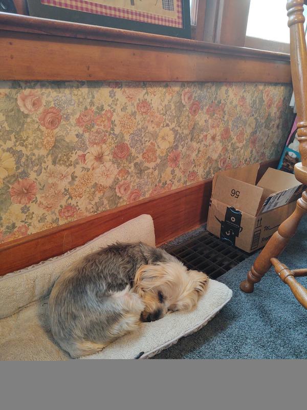 Likes to relax! A lot!!!!