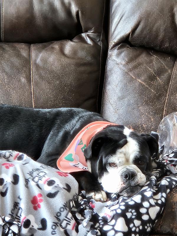 Cinder not at all phased by it.