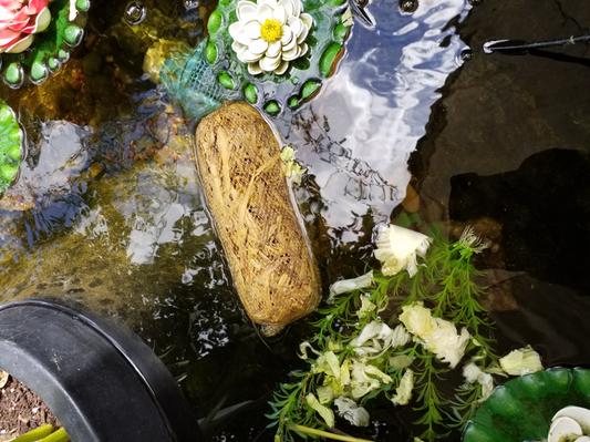 Barley straw in pond