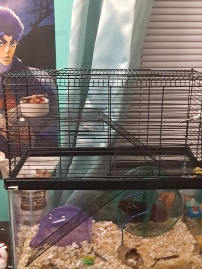 High rise 2024 hamster cage