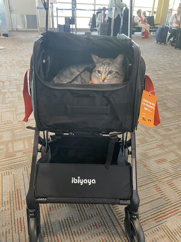 Ibiyaya JetPaw: 3-in-1 Pet Stroller with Removable Airline-Approved Dog Carrier