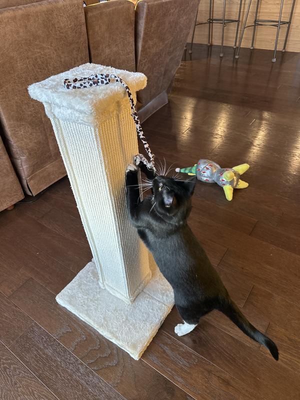 FRISCO 33 in Heavy Duty Sisal Cat Scratching Post reviews Chewy