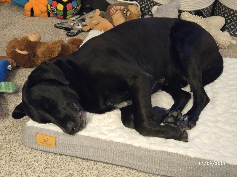 This bed is just right.