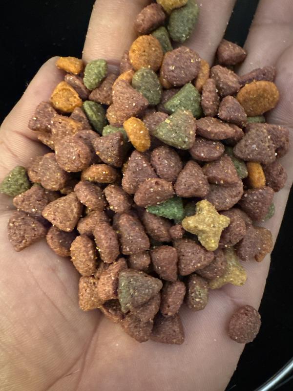 best price on nutro dog food Nutro Lamb & Rice Large Breed Adult Dry Dog Food 30 lb