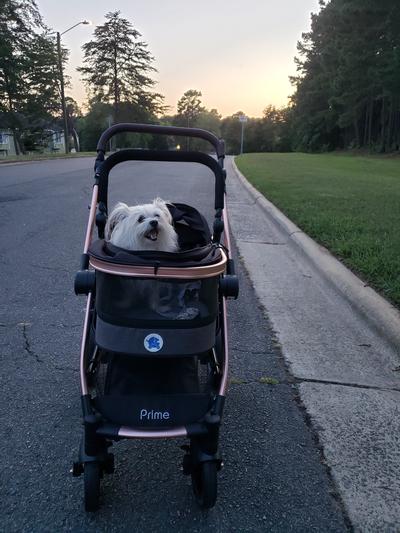 HPZ™ Pet Rover Prime Luxury 3-In-1 Stroller For Dogs & Cats